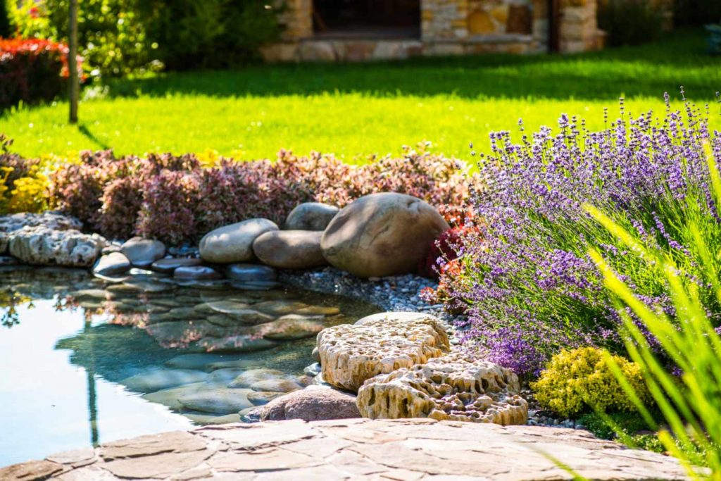 Florida Landscaping With Small Pond And Flowers