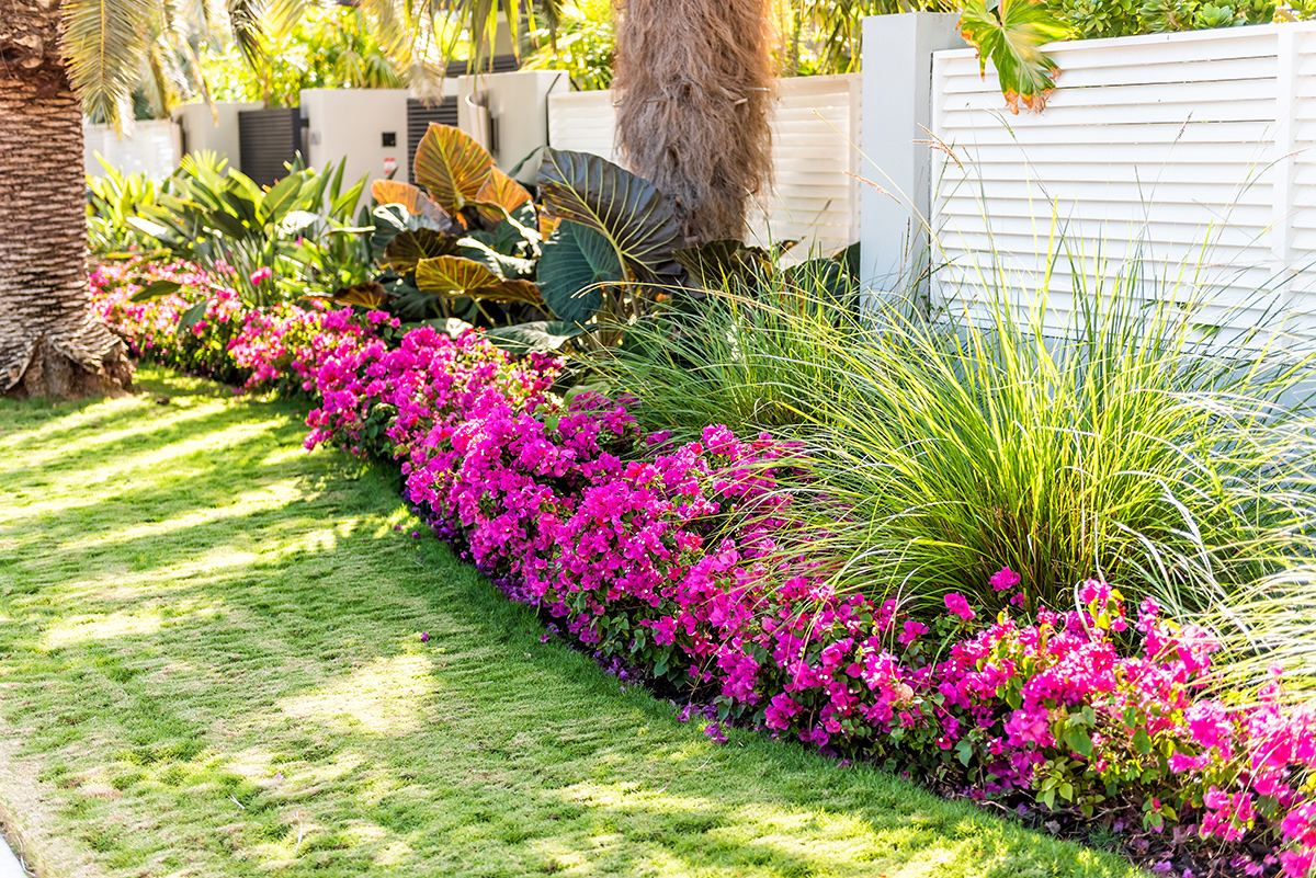 Landscaping Ideas For Florida Curb Appeal Passage Island Construction - Florida Front Yard Landscaping Ideas